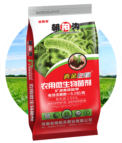 朝陽溝生物有機肥